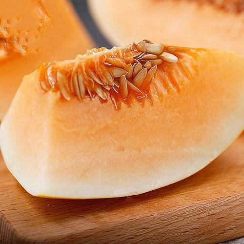 黄金蜜瓜怎么吃,尽享夏日清新美味