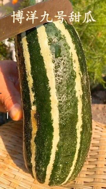 这个瓜要怎么吃,教你如何正确享用“这个瓜”