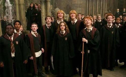 哈利波特吃麻瓜,哈利波特与神秘麻瓜美食之旅