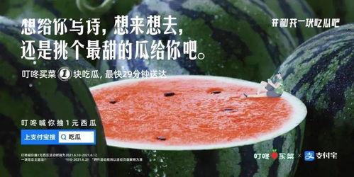 吃瓜求婚文案短句,吃瓜文案短句见证爱情时刻