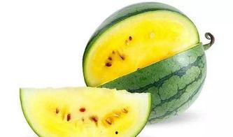 吃瓜最佳阵容,揭秘吃瓜最佳阵容