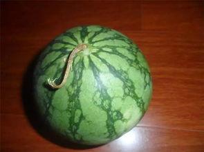 老代吃瓜,揭秘娱乐圈幕后故事