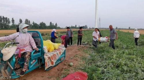 吃瓜群众618,吃瓜群众的热闹盛宴