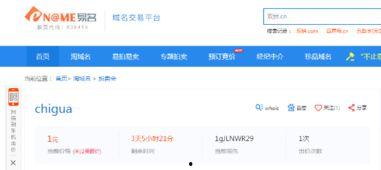 吃瓜网新域名,探索网络世界的全新入口