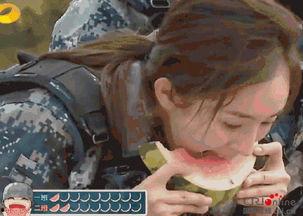 吃瓜男子出洋相,笑料连连引网友热议