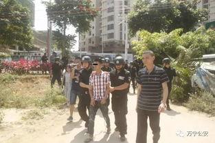 金乡吃瓜事件砍人,一场引发社会热议的砍人悲剧