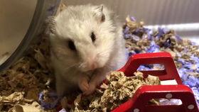 小仙女吃瓜吐了,揭秘明星幕后趣事