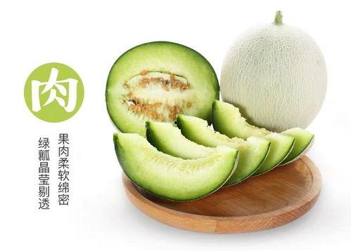 减脂吃网纹瓜,天然低卡美食，轻松享瘦新选择