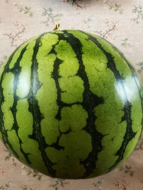 音乐表演系吃瓜,揭秘幕后的“吃瓜”故事