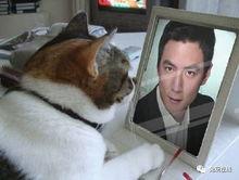 pdd吃瓜是正品吗,正品与否，真相大白