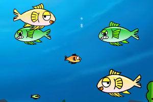 波力小鱼吃瓜,一场欢乐的美食冒险之旅