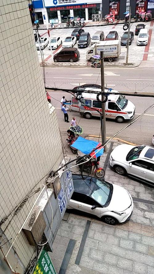 车祸吃瓜青蛙,吃瓜青蛙的意外见证