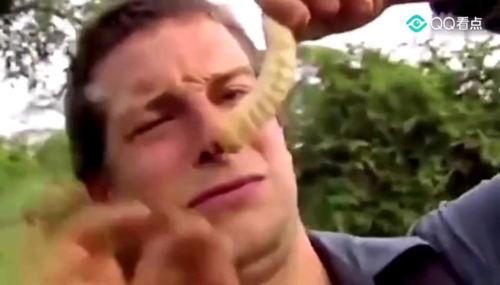 老头伸舌吃瓜,老头伸舌吃瓜，回味人生百态