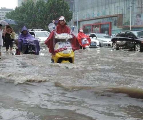 齐齐哈尔吃瓜网友事件,网络舆论的发酵与反思