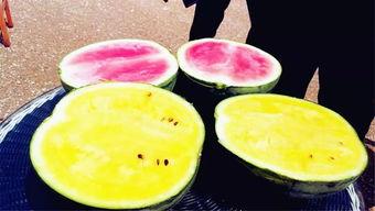 吃瓜爆料壁纸,壁纸背后的故事与真相