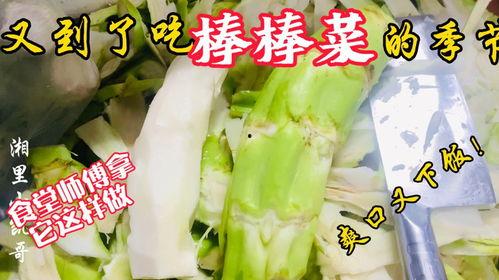 临洮老师吃瓜,揭秘校园里的“瓜田”风云