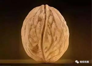 吃瓜群众核雕视频,吃瓜群众眼中的匠心独运