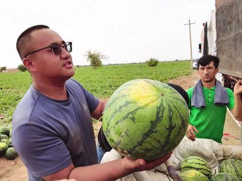 小孩红牛唱歌吃瓜,一场别开生面的儿童歌唱盛宴