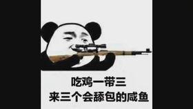 吃鸡歪瓜辅助,揭秘游戏中的神秘力量