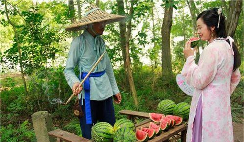 吃瓜丞相,揭秘宫廷中的瓜田乐事