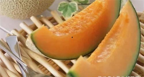 温泉吃哈密瓜行吗,享受哈密瓜的甜蜜邂逅