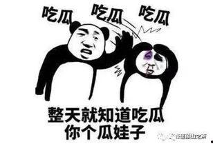 等你瓜怎么吃,探索“等你瓜怎么吃”的多元解读与趣味应用