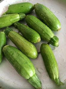 小瓜可以做着怎么吃,解锁夏日美味新境界