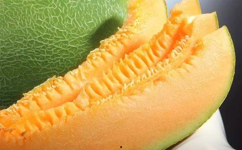 吃密瓜图片大全,缤纷图片大盘点