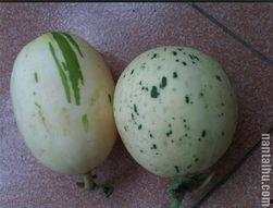 湖城吃瓜,揭秘当地美食背后的故事与风情