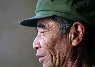 李老汉吃瓜小说,一部乡村生活的甜蜜寓言