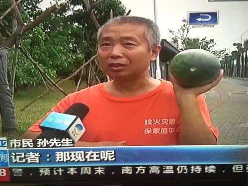 往年热门吃瓜事件,2023年度十大热门吃瓜事件大盘点