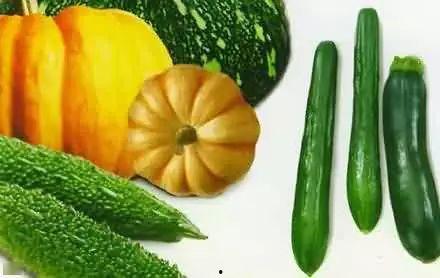 海关吃瓜,揭秘吃瓜群众的神秘世界