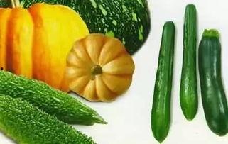 七奈吃瓜,揭秘娱乐圈幕后故事