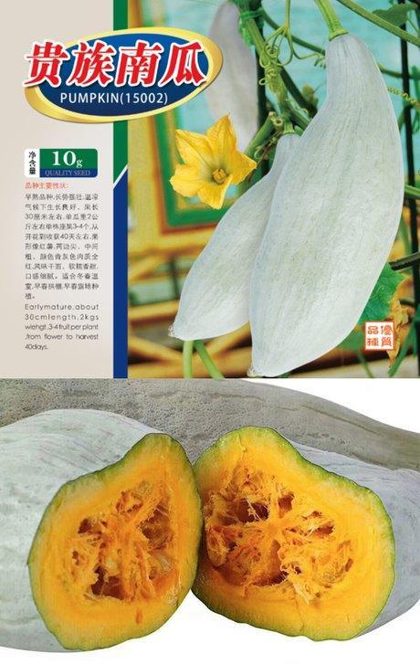 贵族丑瓜怎么吃,解锁美味新境界