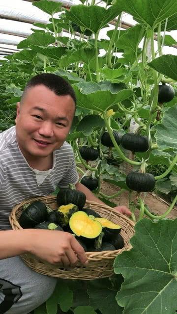 风景真香吃瓜好刺激,真香瓜果，视觉与味蕾的双重刺激