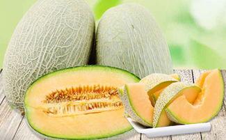 吃蜜瓜发痒,揭秘过敏背后的真相