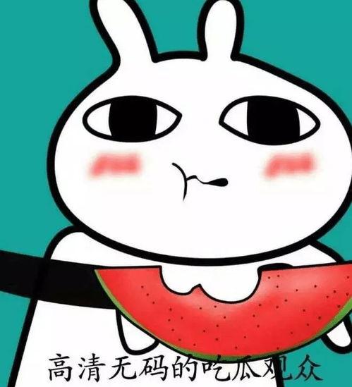可爱的吃瓜头像 第2张 可爱的吃瓜头像 第2张