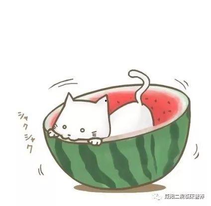 可爱的吃瓜头像 第3张 可爱的吃瓜头像 第3张