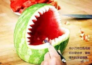 先吃鲨鱼再吃瓜  第2张