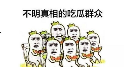吃瓜围观效应视频,网络视频的狂欢与反思  第1张