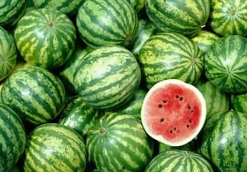 深圳吃瓜最新,揭秘网红美食背后的故事  第3张