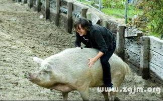 骑猪吃瓜系统,揭秘古代奇特的饮食文化现象  第3张