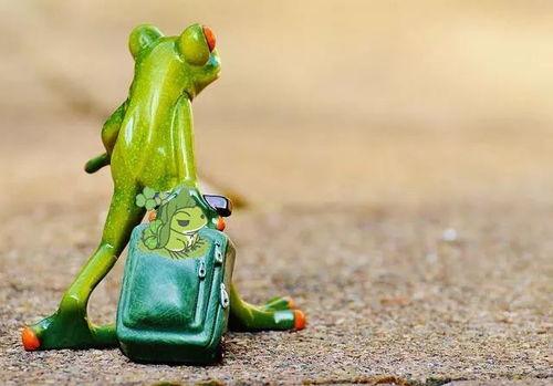 青蛙买崽吃瓜,一场奇妙的生态冒险之旅  第2张