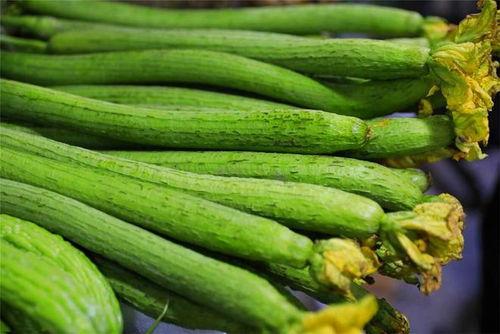 嫩茎瓜怎么吃,探索美味与营养的完美结合  第3张