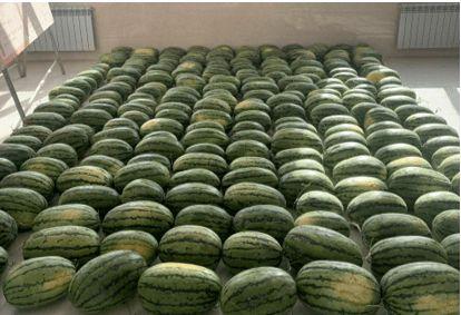 学校吃瓜新闻,揭秘校园吃瓜新闻背后的故事 第2张 学校吃瓜新闻,揭秘校园吃瓜新闻背后的故事 第2张