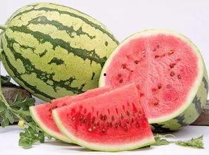 夏天应该吃脆瓜还是沙瓜,脆瓜与沙瓜，哪一款是你的心头好？