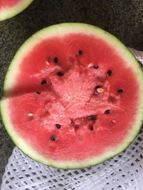 夏天应该吃脆瓜还是沙瓜,脆瓜与沙瓜，哪一款是你的心头好？  第3张