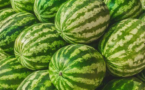 每天都在找瓜吃瓜,我的日常“吃瓜”之旅  第2张